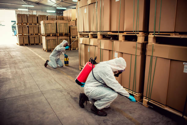 Best Affordable Pest Control Services  in Natalbany, LA