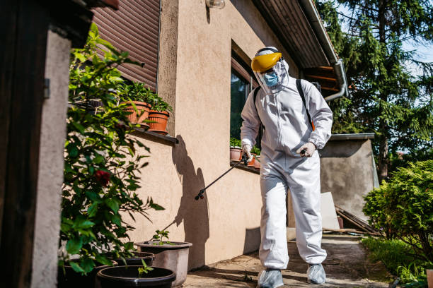 Pest Prevention Services in Natalbany, LA