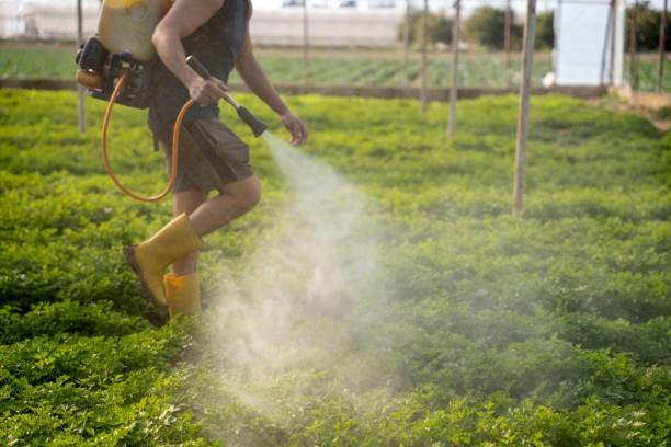 Best Best Pest Control Companies  in Natalbany, LA