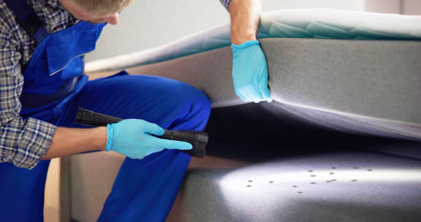 Best Best Pest Control Companies  in Natalbany, LA