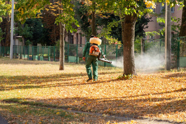 Professional Pest Control in Natalbany, LA