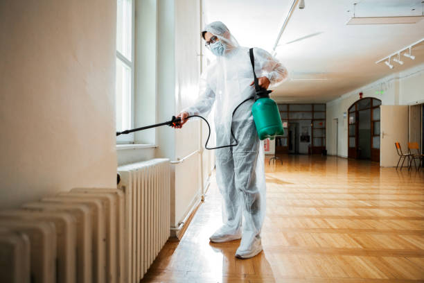 Best Cockroach Control Services  in Natalbany, LA