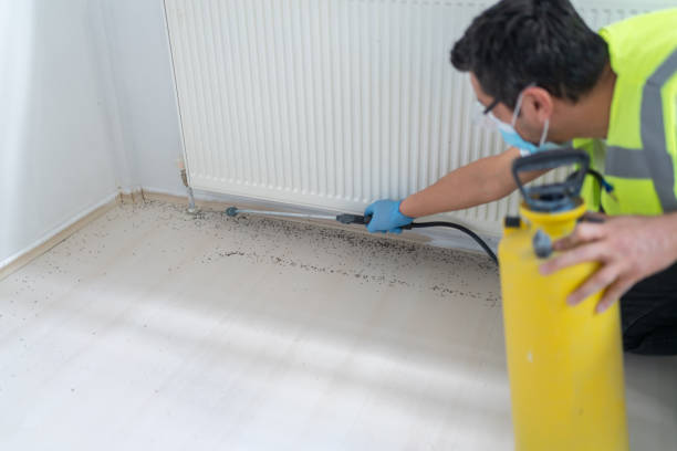 Best Exterminator Services  in Natalbany, LA